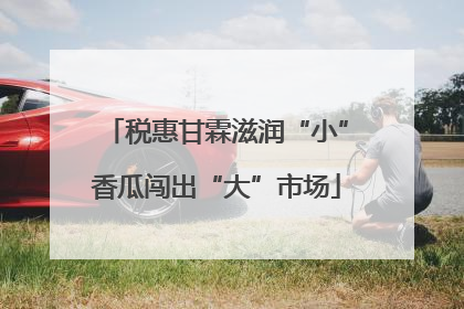 税惠甘霖滋润“小”香瓜闯出“大”市场