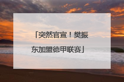 突然官宣！樊振东加盟德甲联赛