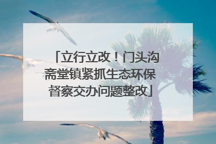立行立改！门头沟斋堂镇紧抓生态环保督察交办问题整改