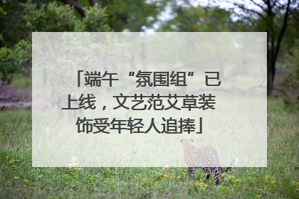 端午“氛围组”已上线，文艺范艾草装饰受年轻人追捧