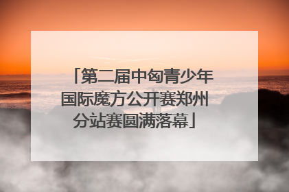 第二届中匈青少年国际魔方公开赛郑州分站赛圆满落幕