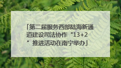 第二届服务西部陆海新通道建设司法协作“13+2”推进活动在南宁举办