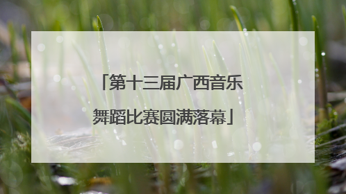 第十三届广西音乐舞蹈比赛圆满落幕