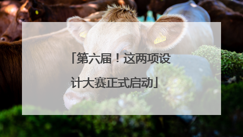 第六届！这两项设计大赛正式启动