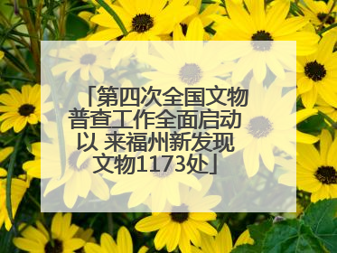 第四次全国文物普查工作全面启动以 来福州新发现文物1173处