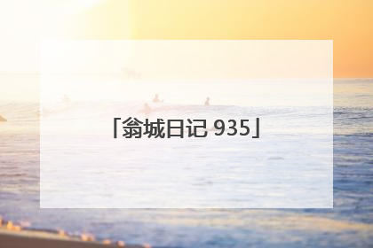 翁城日记 935