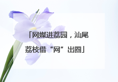 网媒进荔园，汕尾荔枝借“网”出圈