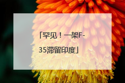 罕见！一架F-35滞留印度
