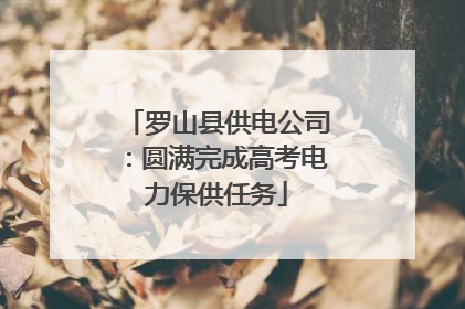 罗山县供电公司：圆满完成高考电力保供任务