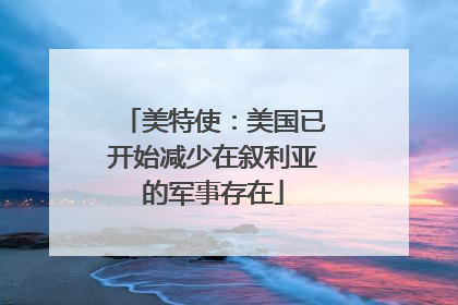 美特使：美国已开始减少在叙利亚的军事存在