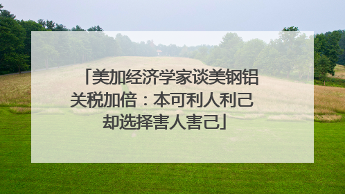 美加经济学家谈美钢铝关税加倍：本可利人利己 却选择害人害己