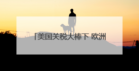 美国关税大棒下 欧洲多行业恐陷生存危机