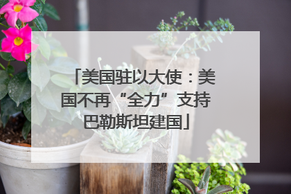 美国驻以大使：美国不再“全力”支持巴勒斯坦建国