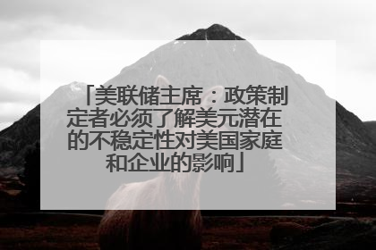 美联储主席：政策制定者必须了解美元潜在的不稳定性对美国家庭和企业的影响
