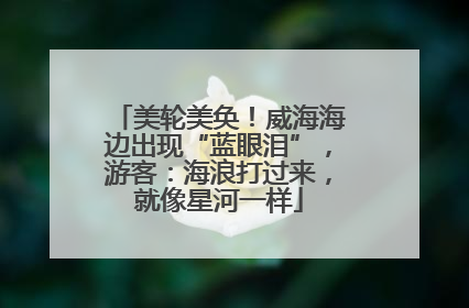 美轮美奂！威海海边出现“蓝眼泪”，游客：海浪打过来，就像星河一样