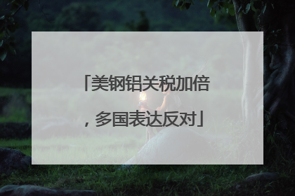 美钢铝关税加倍，多国表达反对