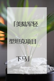 美陆军轻型坦克项目下马