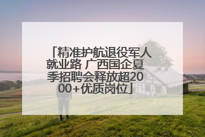 精准护航退役军人就业路 广西国企夏季招聘会释放超2000+优质岗位
