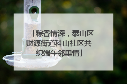 粽香情深，泰山区财源街道科山社区共织端午邻里情