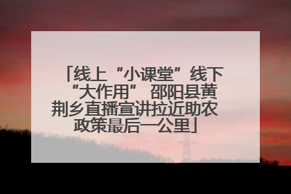 线上“小课堂”线下“大作用” 邵阳县黄荆乡直播宣讲拉近助农政策最后一公里