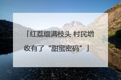 红荔缀满枝头 村民增收有了“甜蜜密码”