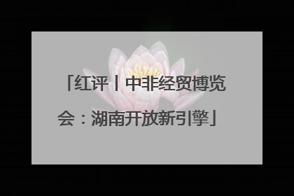 红评丨中非经贸博览会：湖南开放新引擎