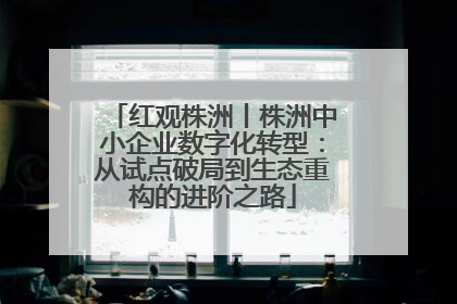 红观株洲丨株洲中小企业数字化转型：从试点破局到生态重构的进阶之路