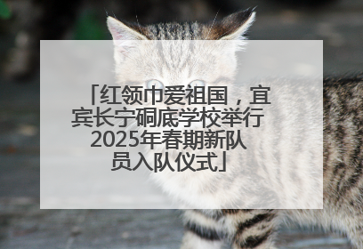 红领巾爱祖国，宜宾长宁硐底学校举行2025年春期新队员入队仪式