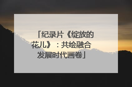 纪录片《绽放的花儿》：共绘融合发展时代画卷
