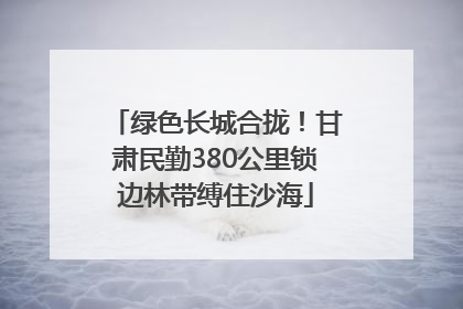 绿色长城合拢！甘肃民勤380公里锁边林带缚住沙海
