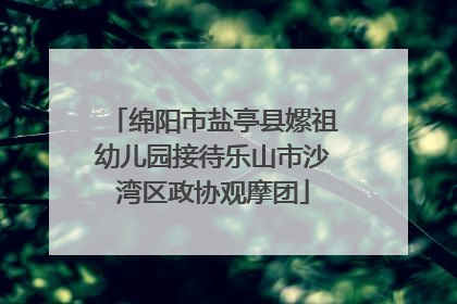 绵阳市盐亭县嫘祖幼儿园接待乐山市沙湾区政协观摩团