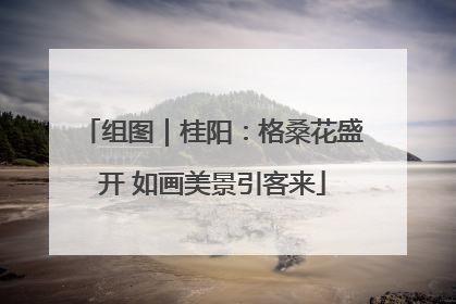 组图｜桂阳：格桑花盛开 如画美景引客来