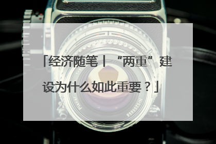 经济随笔丨“两重”建设为什么如此重要？