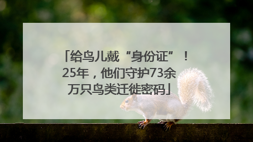 给鸟儿戴“身份证”！25年，他们守护73余万只鸟类迁徙密码
