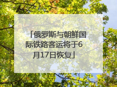 俄罗斯与朝鲜国际铁路客运将于6月17日恢复