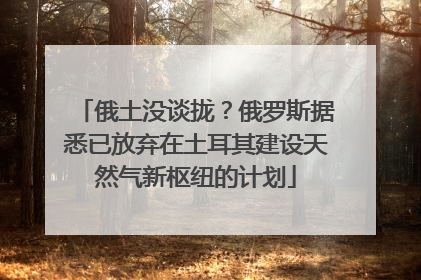 俄土没谈拢？俄罗斯据悉已放弃在土耳其建设天然气新枢纽的计划
