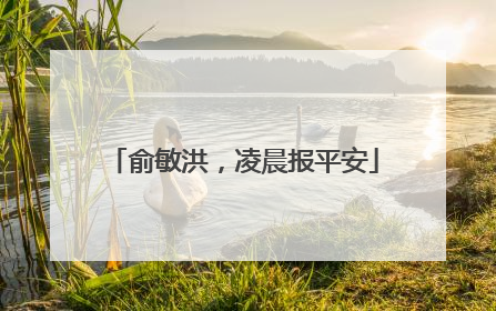 俞敏洪，凌晨报平安