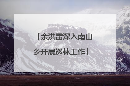 余洪雷深入南山乡开展巡林工作