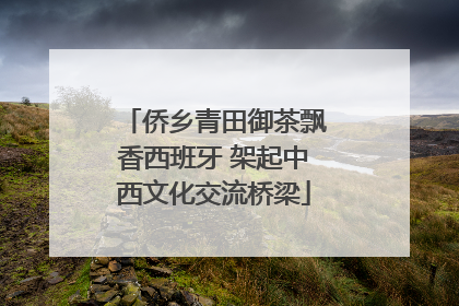 侨乡青田御茶飘香西班牙 架起中西文化交流桥梁