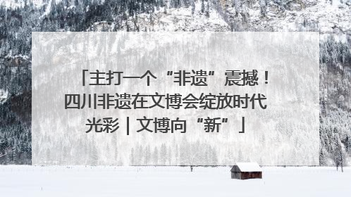 主打一个“非遗”震撼！四川非遗在文博会绽放时代光彩｜文博向“新”