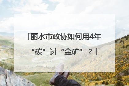 丽水市政协如何用4年“碳”讨“金矿”？