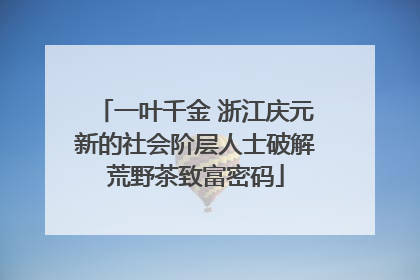 一叶千金 浙江庆元新的社会阶层人士破解荒野茶致富密码