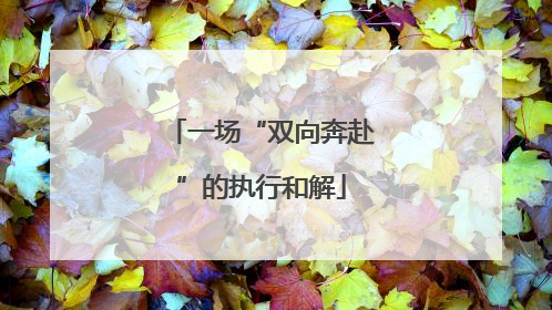 一场“双向奔赴”的执行和解