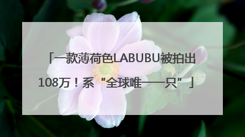 一款薄荷色LABUBU被拍出108万！系“全球唯一一只”