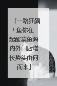 一路狂飙！鱼你在一起酸菜鱼海内外门店增长势头由何而来