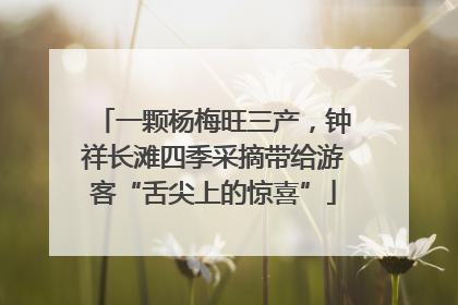 一颗杨梅旺三产，钟祥长滩四季采摘带给游客“舌尖上的惊喜”