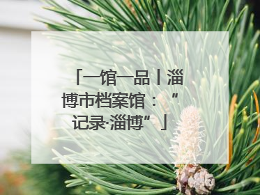 一馆一品丨淄博市档案馆：“记录·淄博”