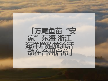 万尾鱼苗“安家”东海 浙江海洋增殖放流活动在台州启幕
