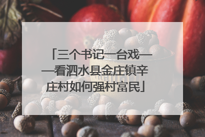 三个书记一台戏——看泗水县金庄镇辛庄村如何强村富民