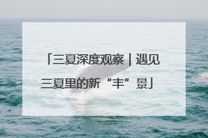 三夏深度观察｜遇见三夏里的新“丰”景